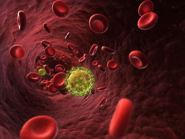 Что означает анализ крови антитела к вирусу эпштейн барр