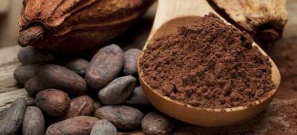 Можно ли при панкреатите употреблять какао?
