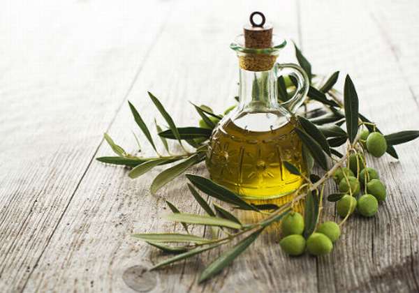 оливковое масло и ветвь оливы
