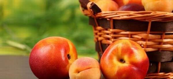 Можно ли есть персики и абрикосы при панкреатите?