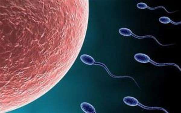 снижение активности сперматозоидов