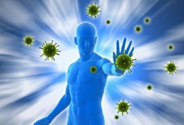 укрепление имунной системы