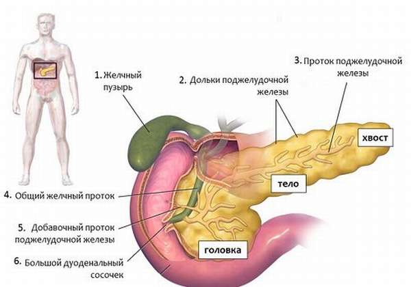 Удаление части поджелудочной железы диета thumbnail