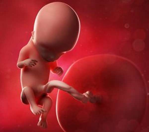 Тестостерон начинает влиять на организм еще в утробе матери